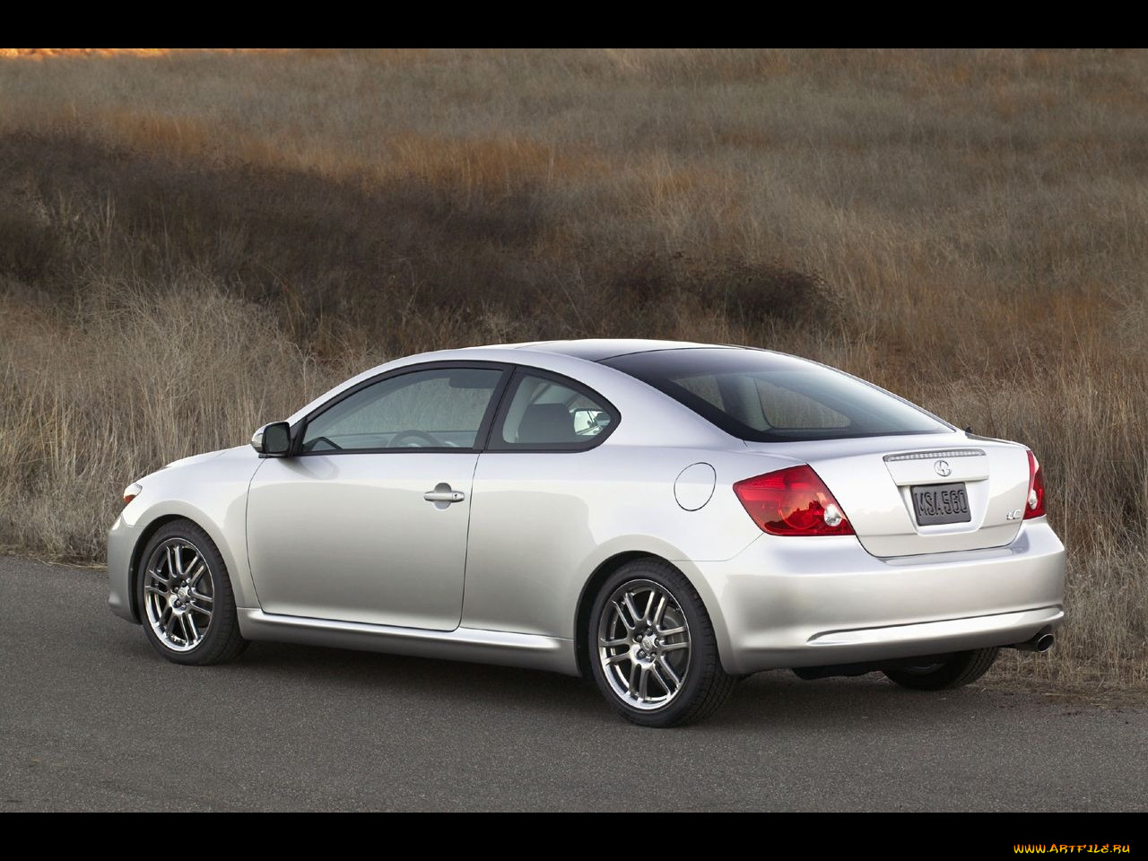 , scion